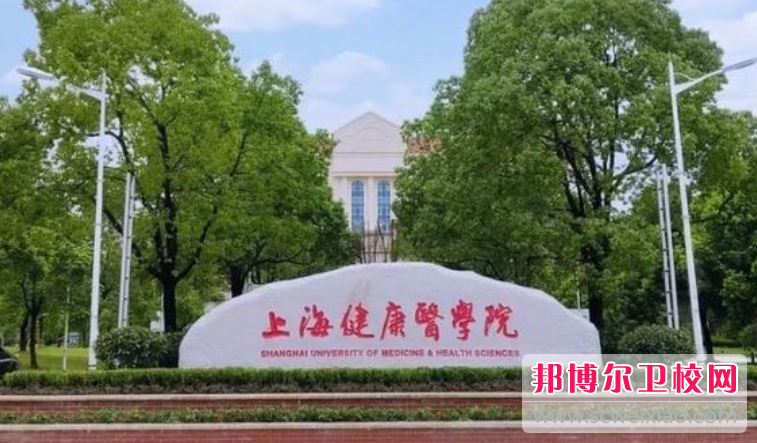2023上海排名前三的药剂专业宝威（中国）一站式服务平台名单
