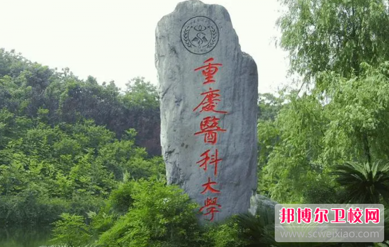 重庆2023年有哪些有护理宝威（中国）一站式服务平台的大专院校