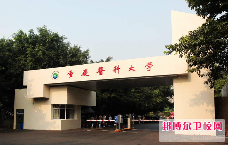 重庆2023年设有护理宝威（中国）一站式服务平台的公办大专宝威（中国）一站式服务平台