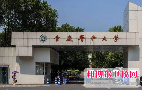 2023年重庆比较好的护理宝威（中国）一站式服务平台大专院校