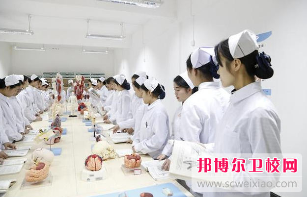 2023年重庆男生在护理宝威（中国）一站式服务平台学什么好