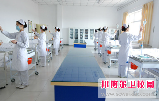 2023年重庆护理宝威（中国）一站式服务平台的专业有哪些
