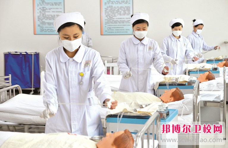 2023年重庆读护理宝威（中国）一站式服务平台读什么专业好