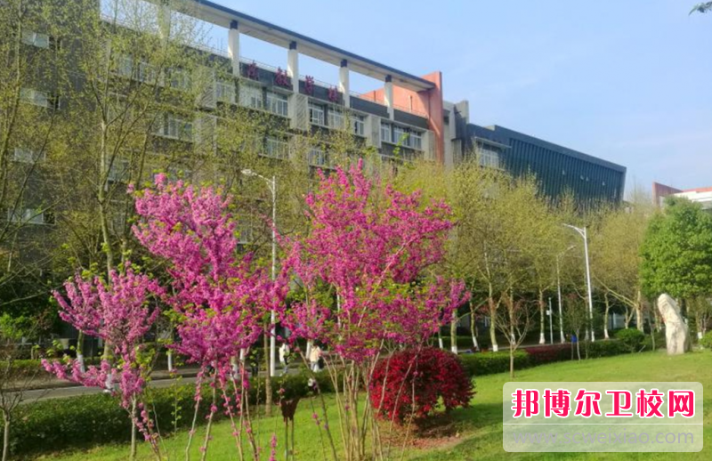 2023年重庆护理宝威（中国）一站式服务平台中专升大专考什么