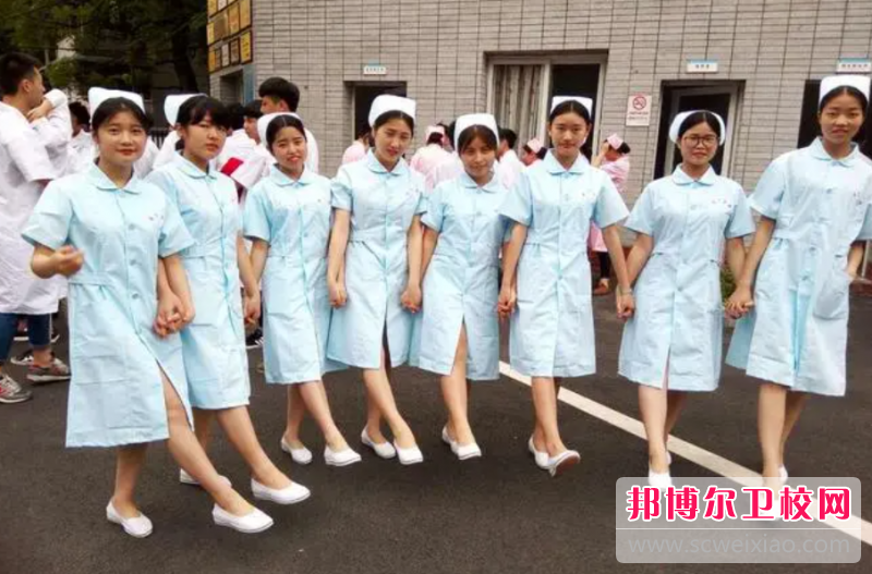 2023年重庆读护理宝威（中国）一站式服务平台需要什么证件