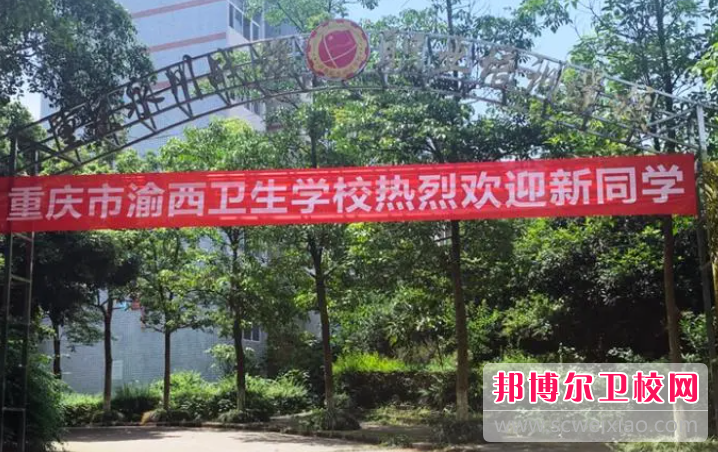 2023年重庆护理宝威（中国）一站式服务平台录取分数线