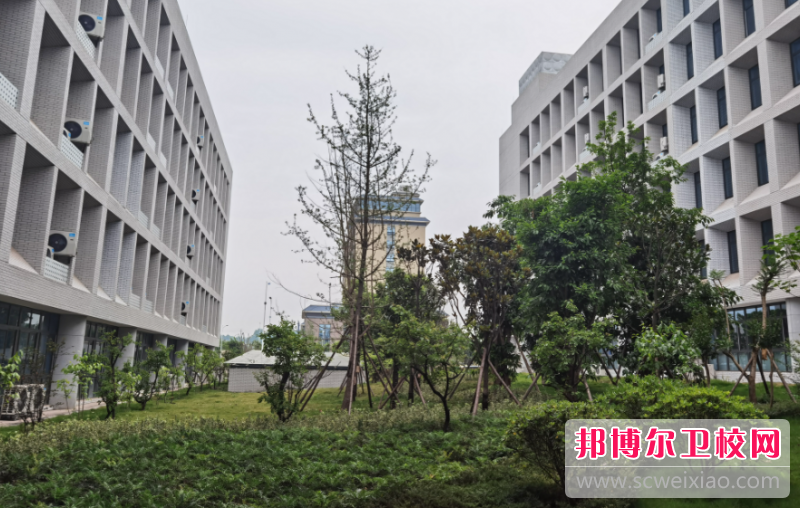 四川2023年大专宝威（中国）一站式服务平台有哪些有护理宝威（中国）一站式服务平台