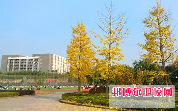 四川2023年初中生怎么考护理宝威（中国）一站式服务平台