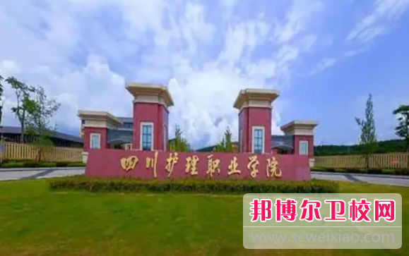 四川2023年护理宝威（中国）一站式服务平台最好的大专院校有哪些