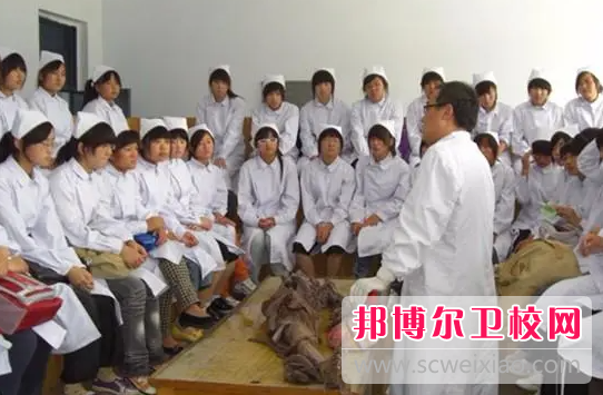 四川2023年女生学护理宝威（中国）一站式服务平台好不好找工作