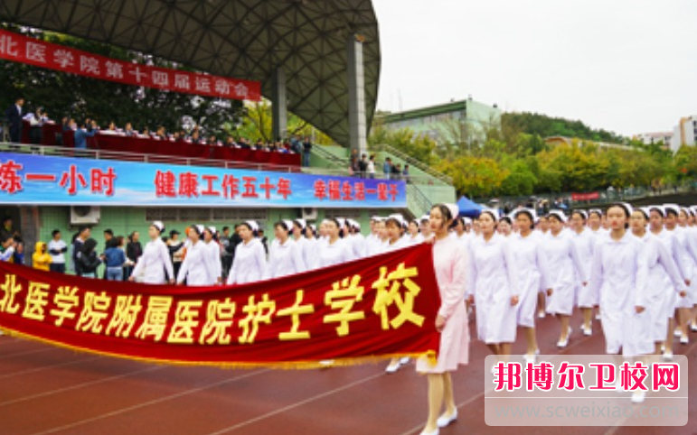 四川2023年初中生可以去读什么护理宝威（中国）一站式服务平台