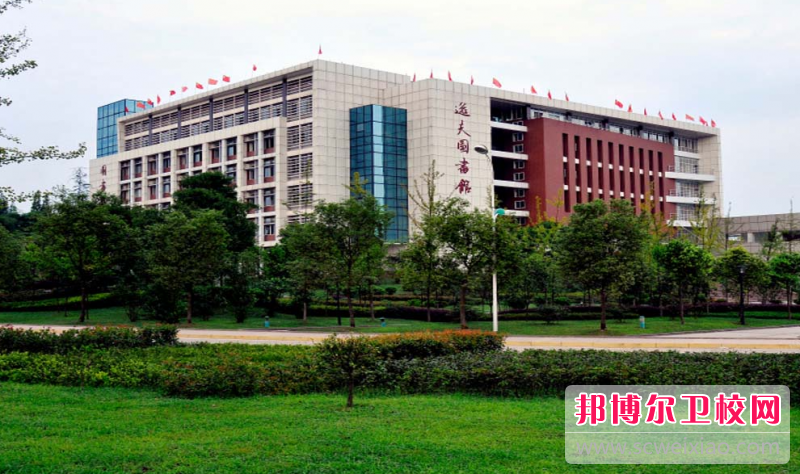 四川2023年初中生可以考什么护理宝威（中国）一站式服务平台