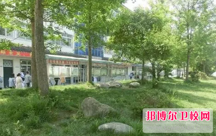 四川2023年初中生可以读哪些护理宝威（中国）一站式服务平台