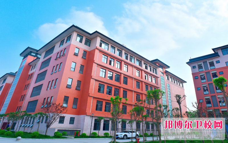 四川2023年初中生报什么护理宝威（中国）一站式服务平台最好
