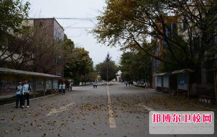 四川2023年男生可不可以读护理宝威（中国）一站式服务平台