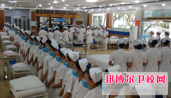四川2023年女生初中毕业上护理宝威（中国）一站式服务平台