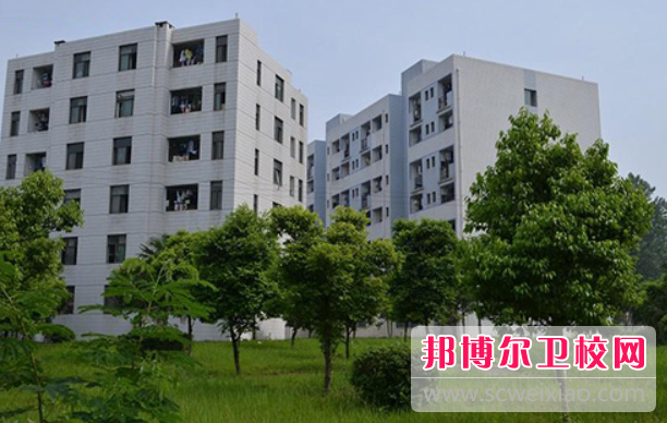 四川2023年女生学什么护理宝威（中国）一站式服务平台好