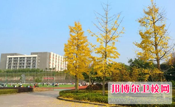 四川2023年有哪些护理宝威（中国）一站式服务平台就业好