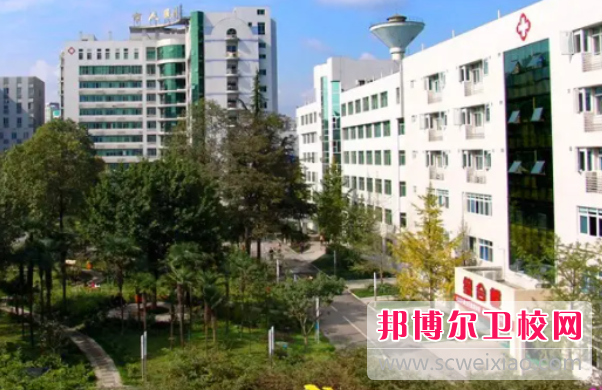 四川2023年有哪些护理宝威（中国）一站式服务平台就业比较好