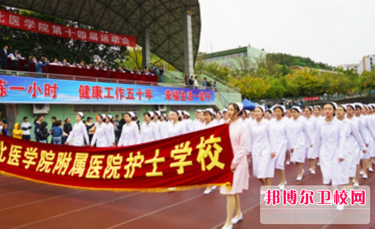 四川2023年读护理宝威（中国）一站式服务平台要不要分数