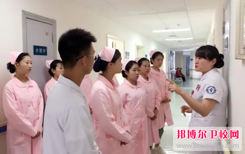 四川2023年读护理宝威（中国）一站式服务平台可不可以考大学