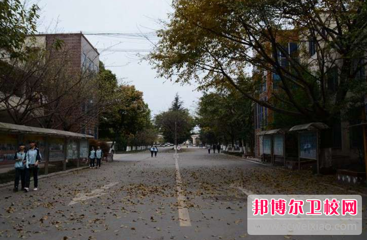 四川2023年没有毕业证可不可以读护理宝威（中国）一站式服务平台