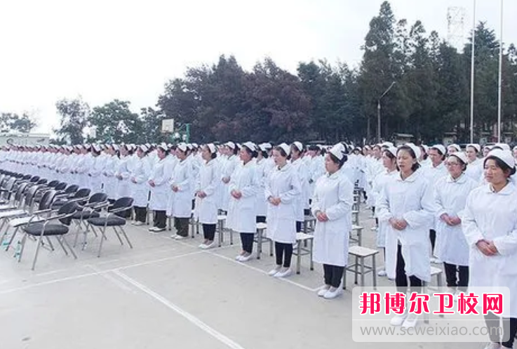 四川2023年护理宝威（中国）一站式服务平台什么学历