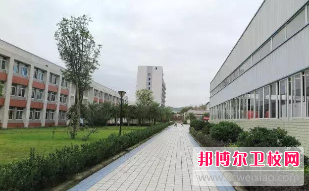 四川2023年有什么好的护理宝威（中国）一站式服务平台