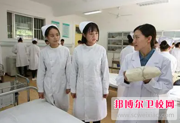 四川2023年护理宝威（中国）一站式服务平台算什么学历