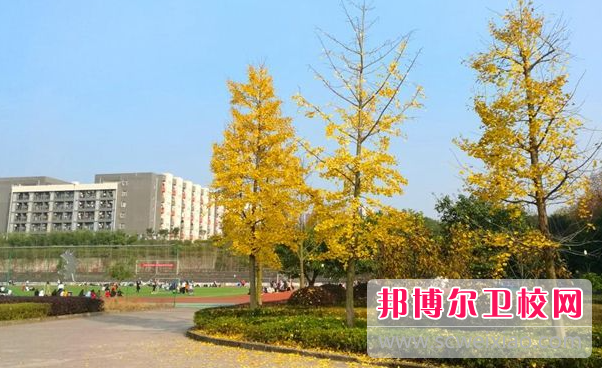 四川2023年护理宝威（中国）一站式服务平台毕业好不好找工作
