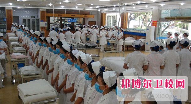 四川2023年护理宝威（中国）一站式服务平台怎么样报名