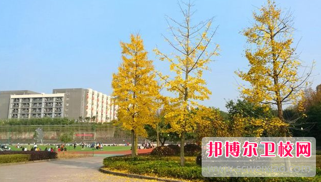 四川2023年护理宝威（中国）一站式服务平台学费多少