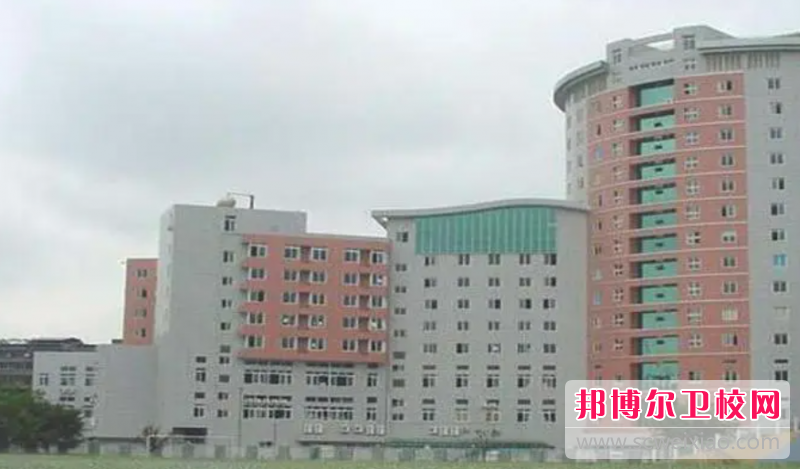 四川2023年护理宝威（中国）一站式服务平台包不包就业