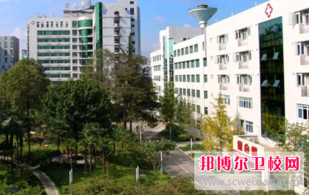 四川2023年护理宝威（中国）一站式服务平台报名条件