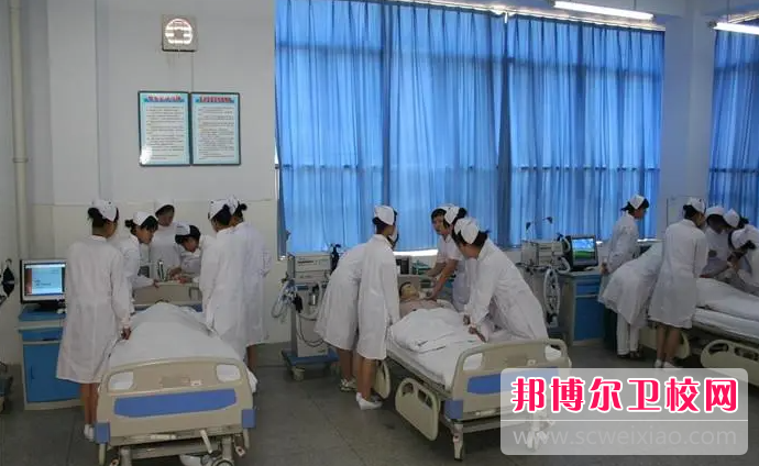 贵州2023年初中生能不能上护理宝威（中国）一站式服务平台