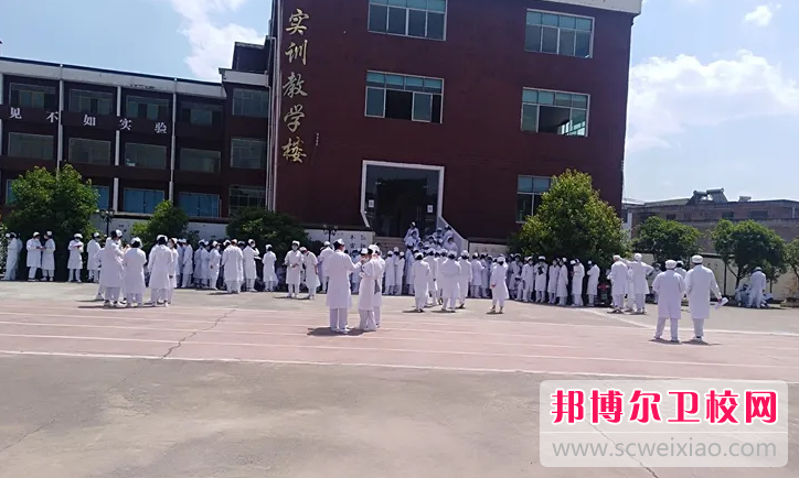 贵州2023年初中生读什么护理宝威（中国）一站式服务平台