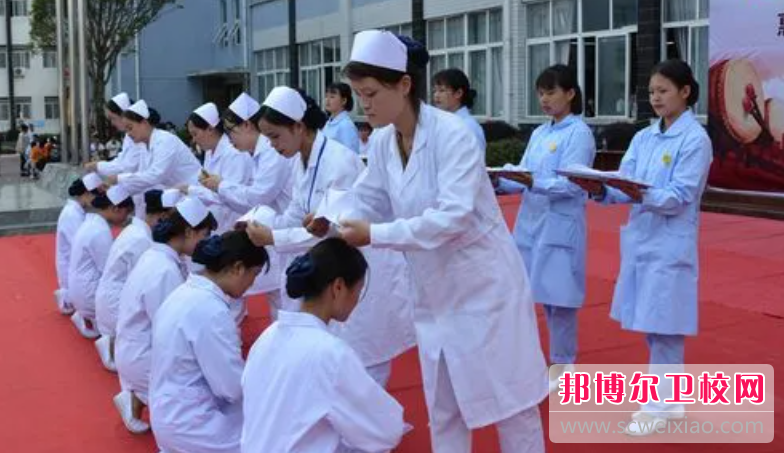 贵州2023年初中生报什么护理宝威（中国）一站式服务平台好