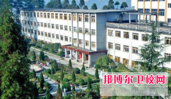 贵州2023年男生读什么护理宝威（中国）一站式服务平台