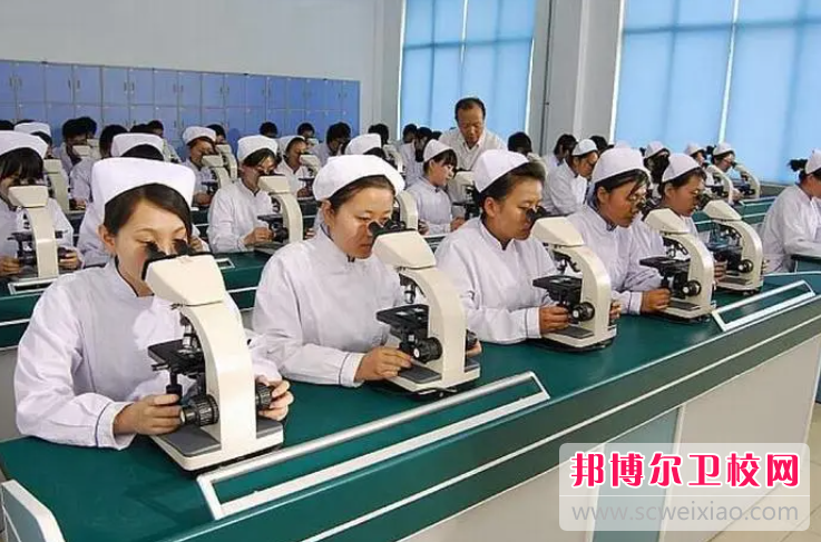贵州2023年读护理宝威（中国）一站式服务平台学什么好