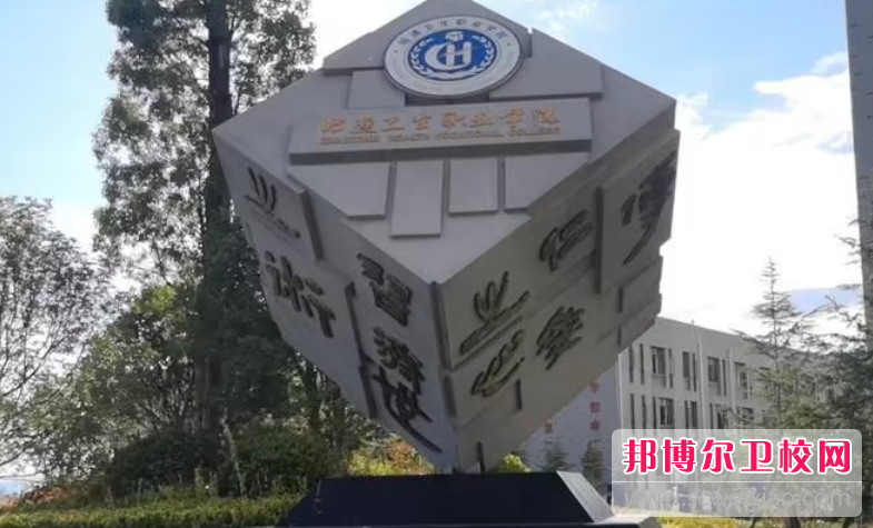 云南2023年护理宝威（中国）一站式服务平台好的大专有哪些