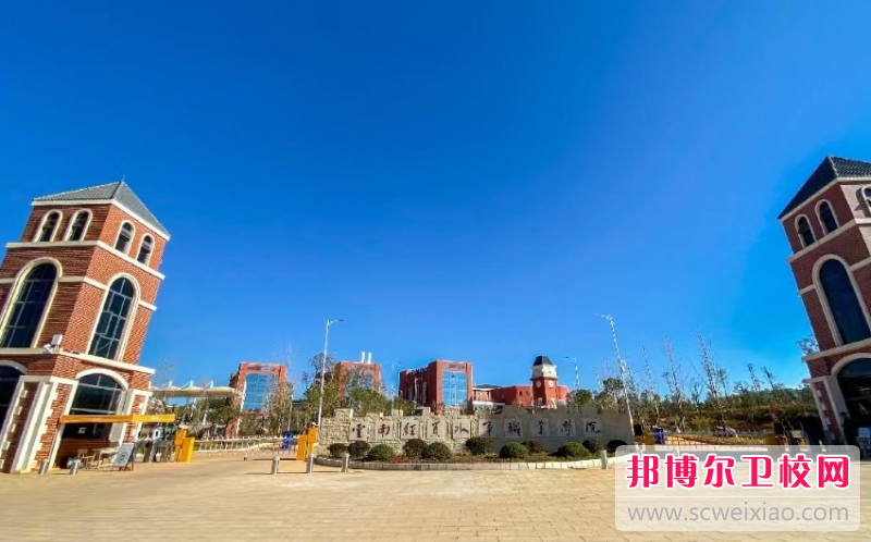 云南2023年有护理宝威（中国）一站式服务平台的大专大学