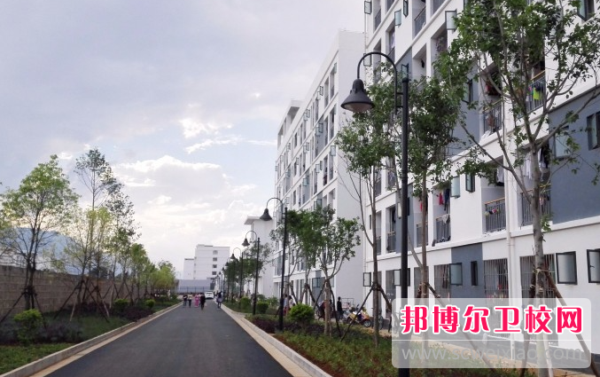 云南2023年有护理宝威（中国）一站式服务平台的大专