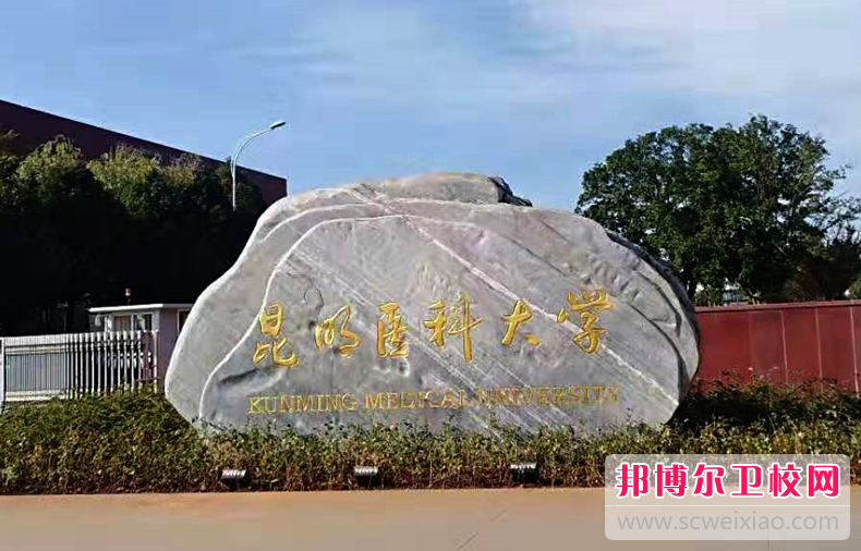 云南2023年哪些大学有护理宝威（中国）一站式服务平台大专