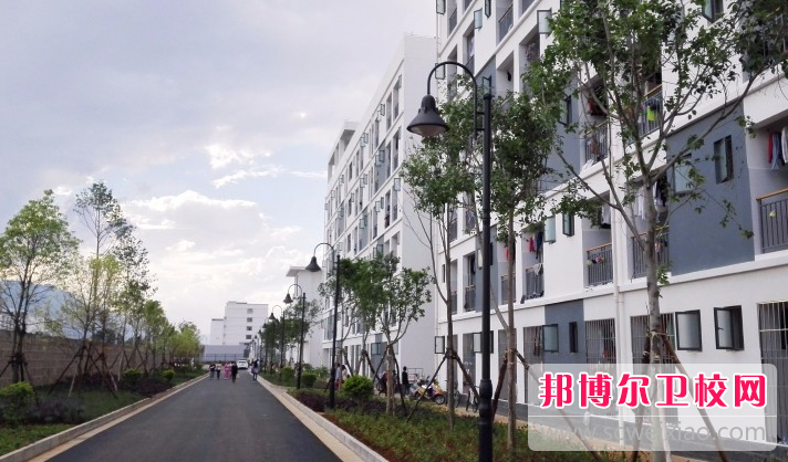 云南2023年可以读护理宝威（中国）一站式服务平台的大专宝威（中国）一站式服务平台