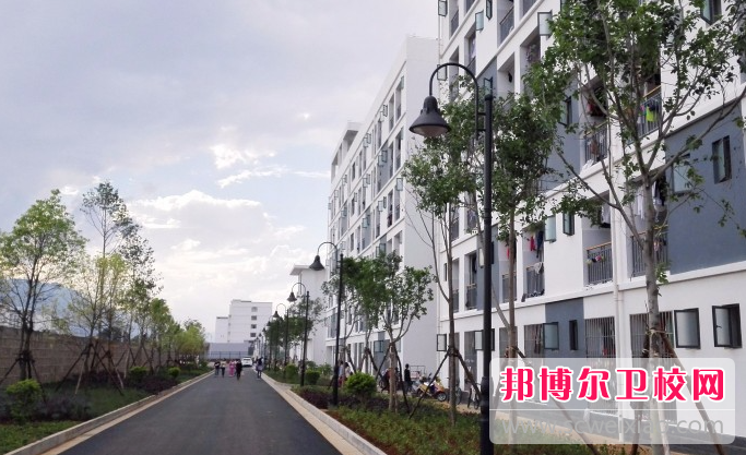 云南2023年哪些大专宝威（中国）一站式服务平台有护理宝威（中国）一站式服务平台