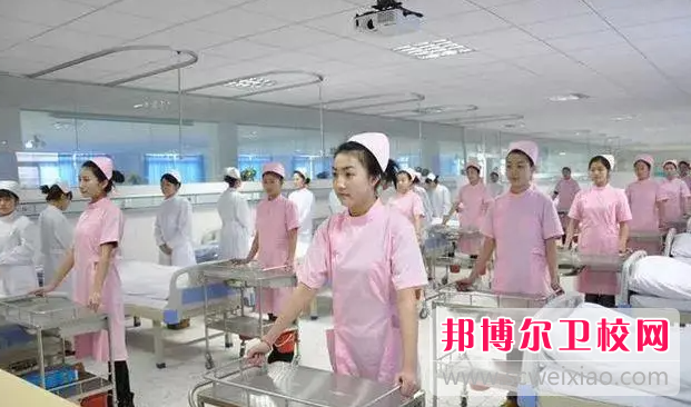云南2023年初中生学护理宝威（中国）一站式服务平台怎样