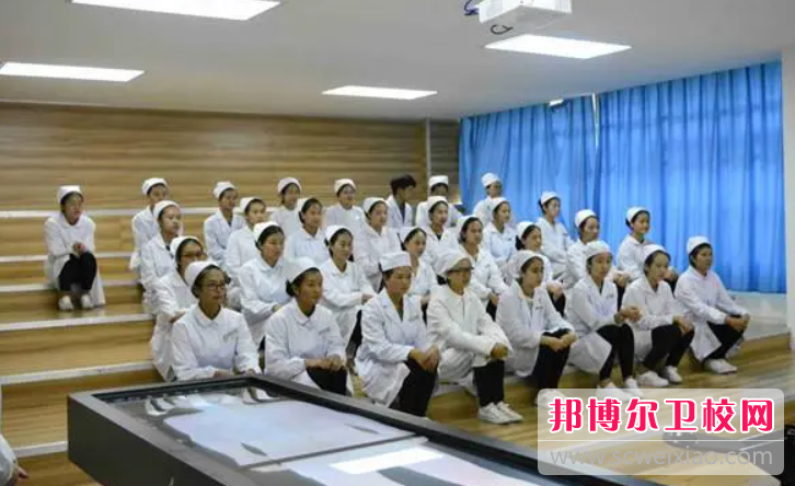云南2023年初中生读护理宝威（中国）一站式服务平台
