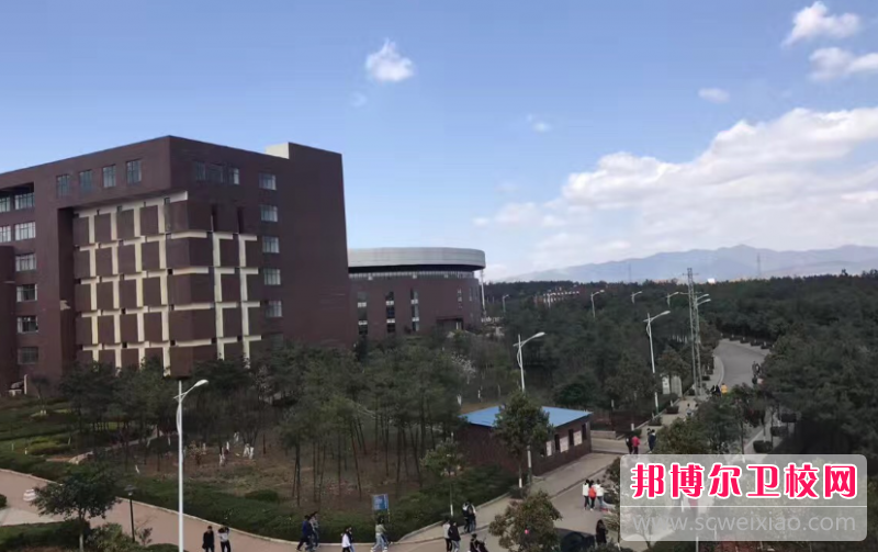 云南2023年初中生可以去什么护理宝威（中国）一站式服务平台