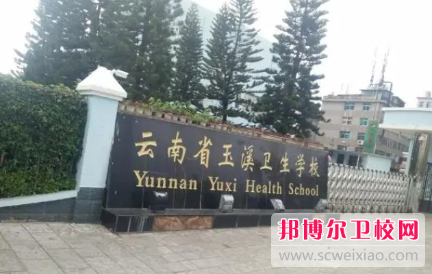 云南2023年女生学什么护理宝威（中国）一站式服务平台好