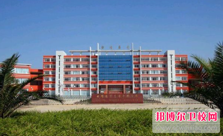 云南2023年有哪些大专护理宝威（中国）一站式服务平台